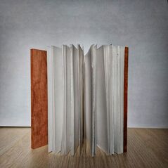 book open showing the pages