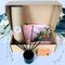 Orange blossom, wild juniper and vanilla reed diffuser gift box and dried flowers